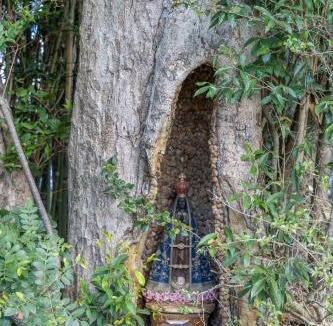 Rio Negrinho House | Cabana Represa