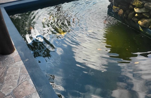 Matinhos House | Caiobá Nature Corner - Large, Fish Pond and Pool | Zap 41 992909634