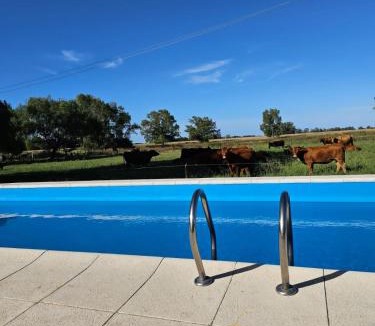 Lobos House | Campo Cuyen, Cabañas