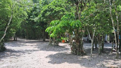 Cananeia Hotel | Cananéia Apoio Tours
