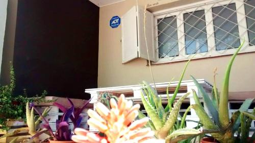 San Juan Hostel | Capital Hostel