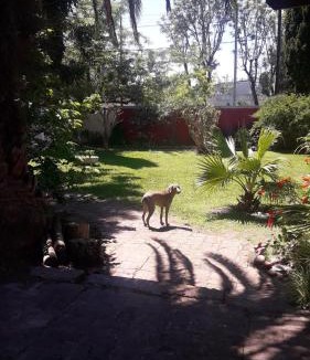 Manuel B. Gonnet Bed & Breakfast | Carpe Diem Gonnet