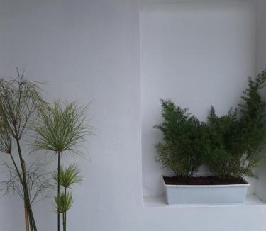Barrio Centro House | Casa Alba