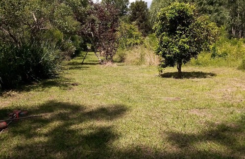 San Fernando Cottage | 🏡🌊🌳🌺casa Rural en Medio de la Naturaleza. Paz y Río🚤🌅🛶🌿🌲📸