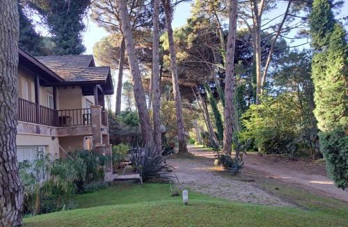 Carilo House | Casa con pileta en el Bosque de Cariló - Ideal Familias