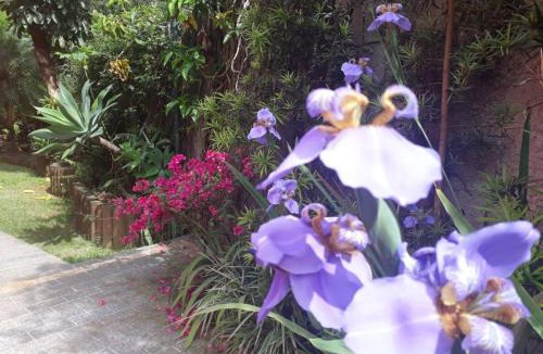 Parque Viana Villa | Casa confortável em Barueri - SP