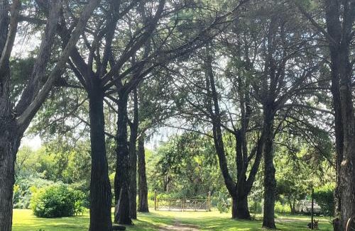La Granja House | Casa en el Campo con Pileta