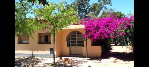 Villa del Totoral Apartment | Casa-hospedaje Arcos de Santa Rita