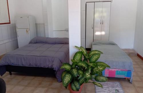 Jardin America Apartment | Casa jardin 2
