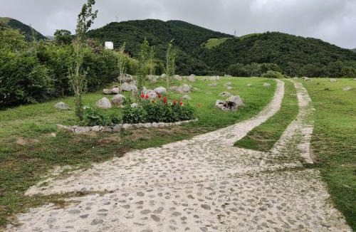Tafi del Valle House | Casa Las Hortensias