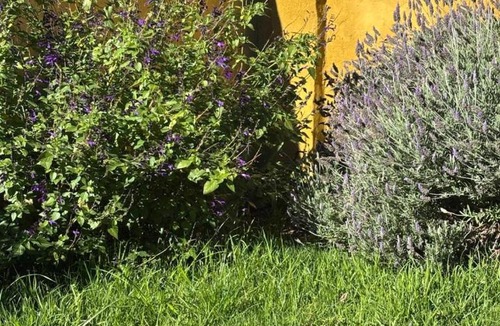 Villa Mercedes House | Casa Lavanda