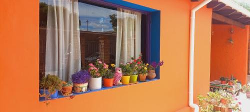 Maimara House | Casa Munay