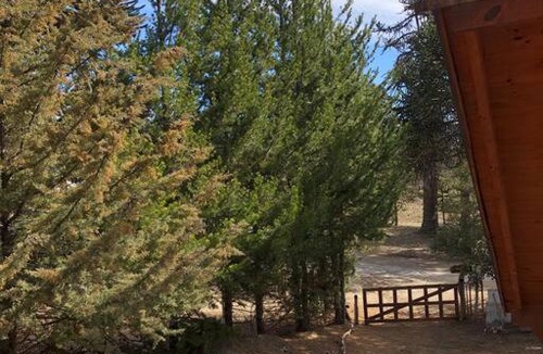 Villa Pehuenia House | Casa Pehuenia, linda cabaña a pasos del Lago