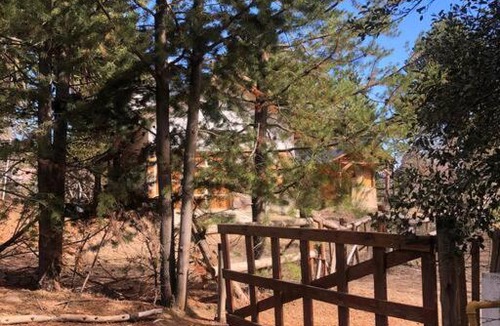 Villa Pehuenia House | Casa Pehuenia, linda cabaña a pasos del Lago