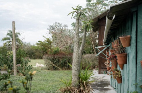 Areal House | Casinha à beira do arroio