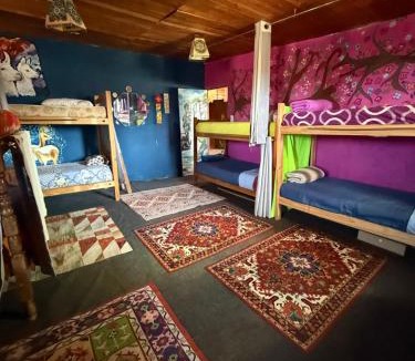 San Salvador de Jujuy Hostel | Casita del arbol Hostel