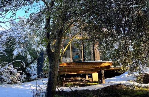 San Martin de los Andes Ski Chalet | Casita en la montaña
