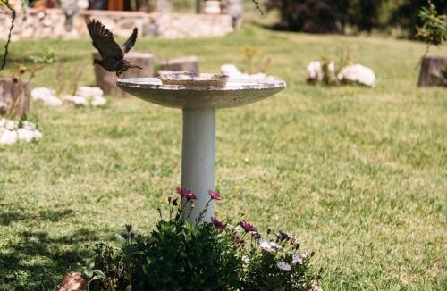 La Estancia Apartment | Cerro Molinos