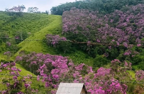 Natividade da Serra Other | Chalé Caminho dos Índios Vargem Grande