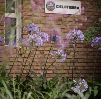 Coronel Suarez House | Cielo de Tierra