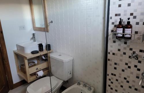 Trevelin House | Complejo Puente viejo casa 2