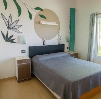Colon Cabin | Complejo STC SomoS