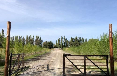 Trelew House | Container on the banks of Chubut River