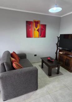 Barrio Centro Apartment | COSTANERA APART 2