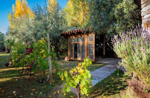 Chacras de Coria Cabin | Cozy cabin in wonderful Chacras de Coria. Pistacho Club Eco Lodge. AC and WiFi