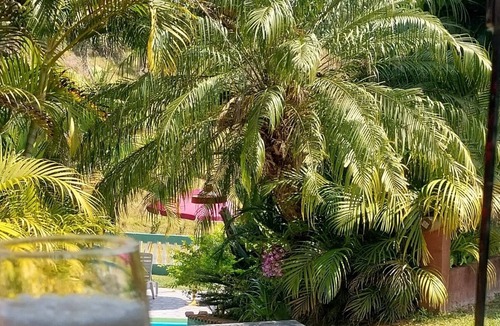 Nazare Paulista Cottage | COZY PARADISE SITE WITH A LOT OF GREEN