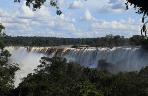 Puerto Iguazu Resort | Curiango Birding Camp