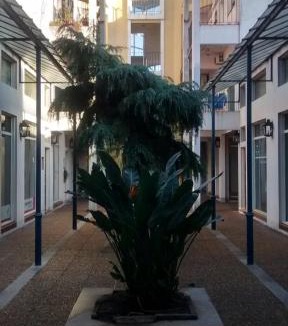 Lujan Apartment | Departamento Céntrico Zona Basílica de Luján