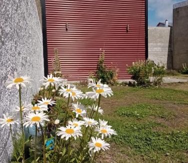 Province of Tierra del Fuego Apartment | Departamento Victoria