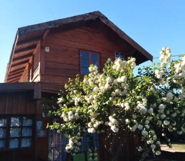 El Hoyo Apartment | departamentos privados de 2 a 8 pax equipados