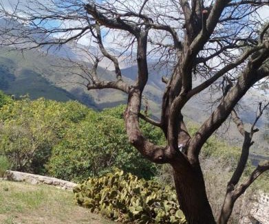 Los Hornillos House | DonPedro