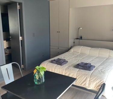 Lanin National Park Apartment | Edificio Pantera - monoambiente 18