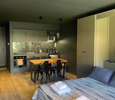 Lanin National Park Apartment | Edificio Pantera - monoambiente 16