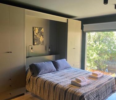 Lanin National Park Apartment | Edificio Pantera - monoambiente 16