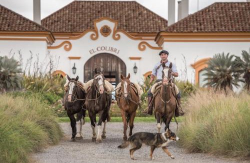 Ascochinga Hotel | El Colibri - Relais & Châteaux
