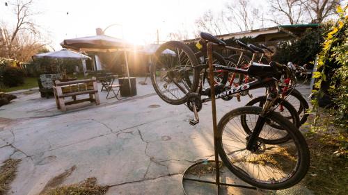 La Cruz Hostel | El kincho hostel bike