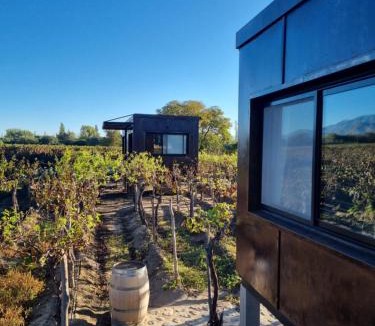 Cafayate Hotel | El Porvenir Wine Lodge