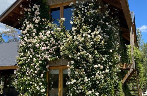 Lolog House | El Remanso Del Quilquihue