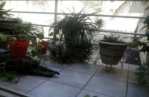 Palermo Apartment | Excellent location 5 min from several Shopping - Park - Universities - Hospitale
