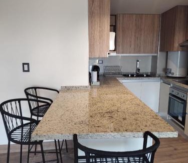 Mendoza City Center Apartment | exclusivo departamento en Torre Leloir, Seguridad 24 HS cochera privada