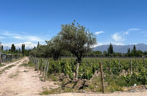 Lujan de Cuyo Cabin | Finca 4 elementos