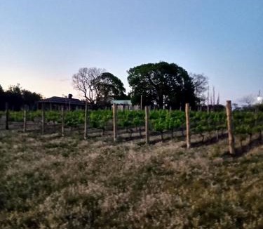 Parana Department House | Finca Doña Antonia
