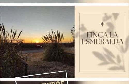Cuadro Nacional House | Finca La Esmeralda - San Rafael