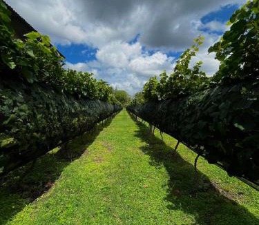 Capilla del Monte Cabin | Finca La Marta - El Cortijo Wine Lodge