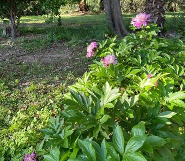 Junin Department House | Finca Los Franciscos
