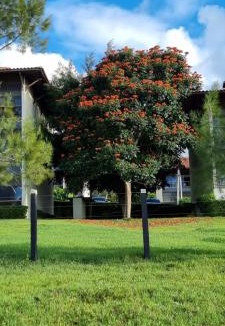 Saire Apartment | Flat em Gravatá - Fazenda Monte Castelo - quarto superior com Wi-Fi e netflix